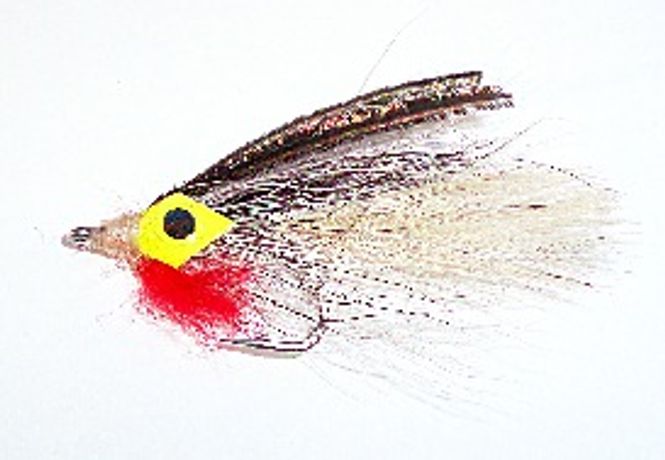 Hovedbilde Big Eye Baitfish - sild