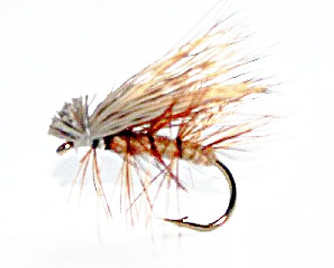 Hovedbilde Elk Hair Caddis - beige 12 stk. samme str.