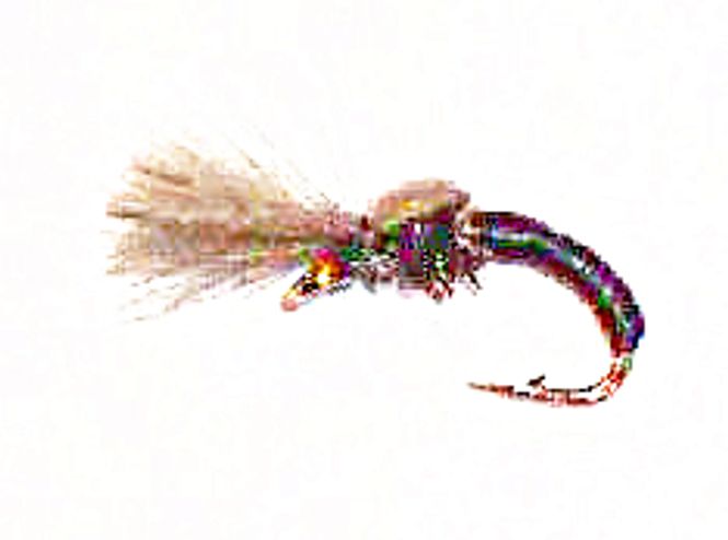 Hovedbilde Mygg klekker