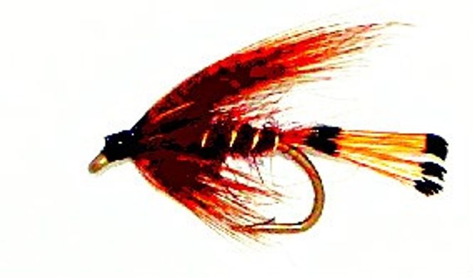 Hovedbilde Mallard & Claret våtflue