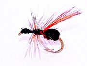 Flyvemaur