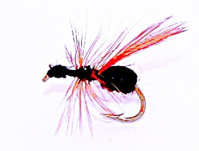 Hovedbilde Flyvemaur